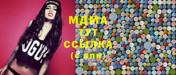ГАЛЛЮЦИНОГЕННЫЕ ГРИБЫ Корсаков