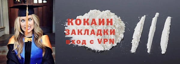 ГАЛЛЮЦИНОГЕННЫЕ ГРИБЫ Корсаков