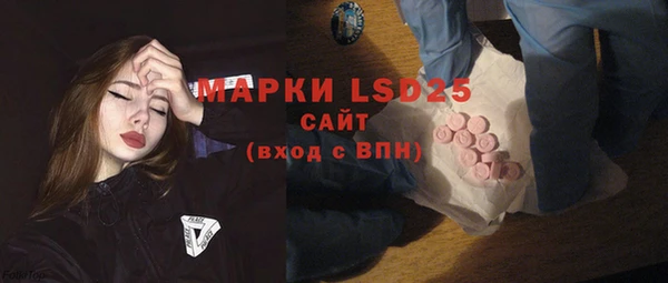 ГАЛЛЮЦИНОГЕННЫЕ ГРИБЫ Корсаков