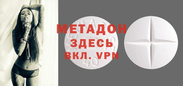 ГАЛЛЮЦИНОГЕННЫЕ ГРИБЫ Корсаков