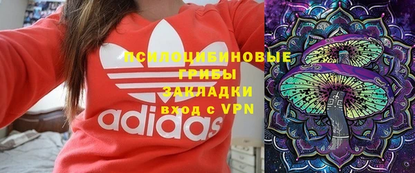 ГАЛЛЮЦИНОГЕННЫЕ ГРИБЫ Корсаков