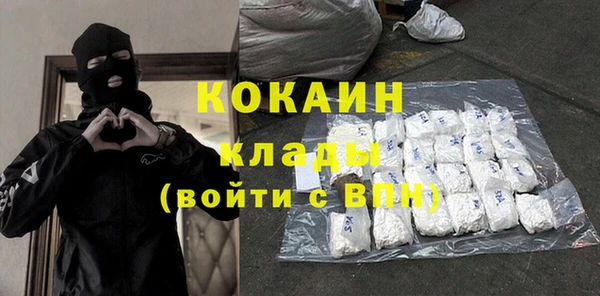 ГАЛЛЮЦИНОГЕННЫЕ ГРИБЫ Корсаков