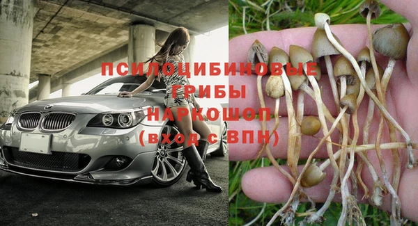 синтетический гашиш Краснослободск