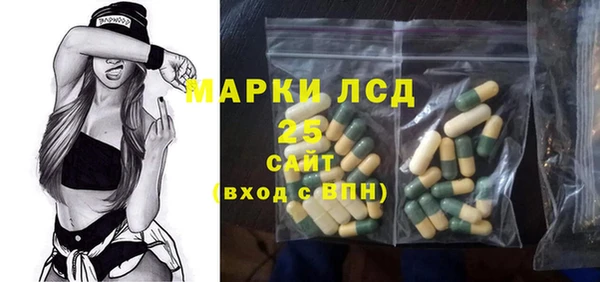ГАЛЛЮЦИНОГЕННЫЕ ГРИБЫ Корсаков